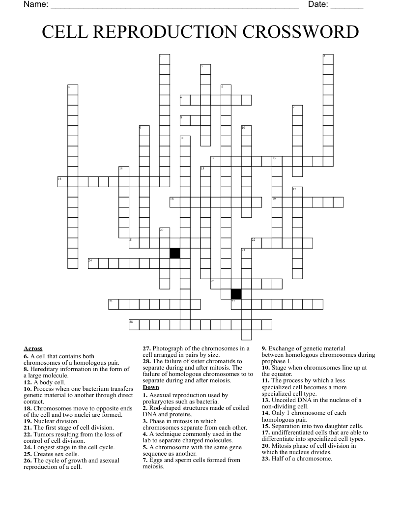 CELL REPRODUCTION CROSSWORD