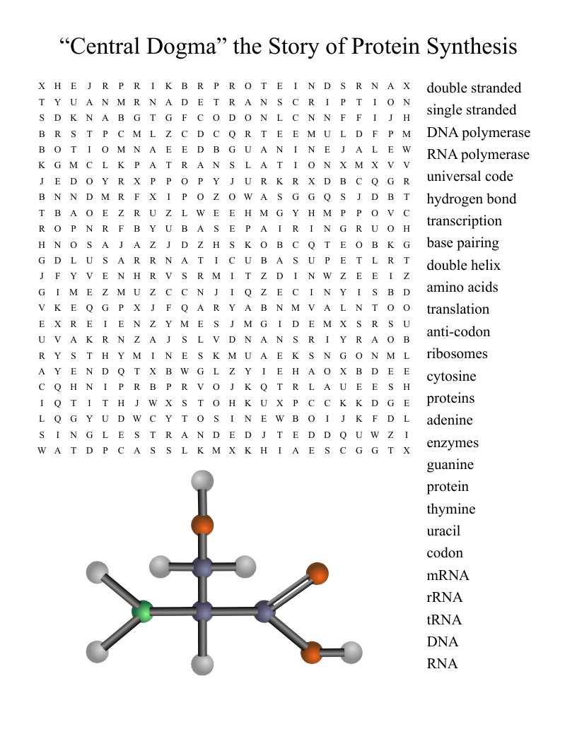“Central Dogma” the Story of Protein Synthesis Word Search