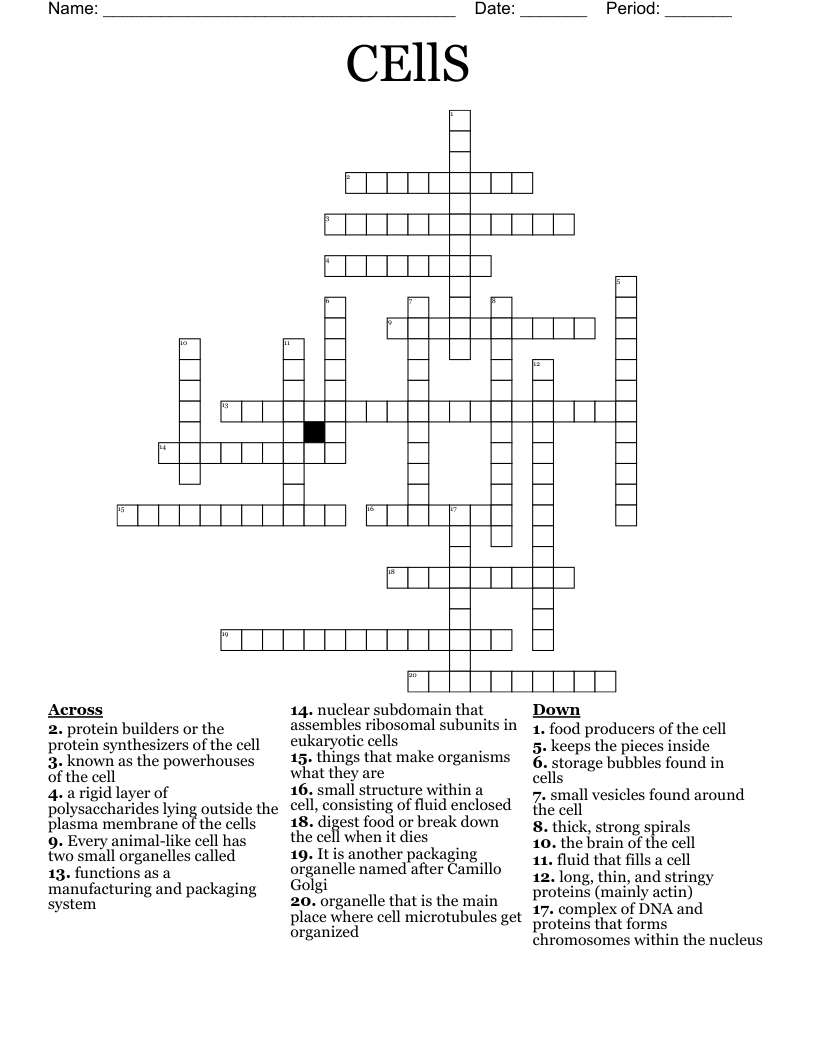 CEllS Crossword