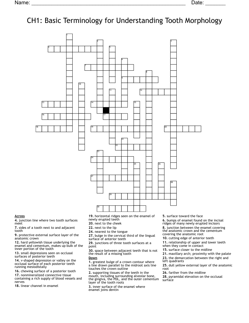 CH1: Basic Terminology for Understanding Tooth Morphology  Crossword