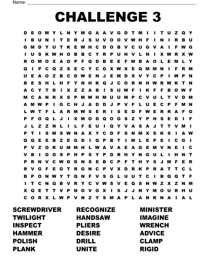 CHALLENGE 3 Word Search