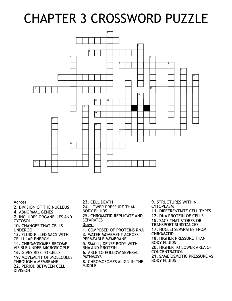 CHAPTER 3 CROSSWORD PUZZLE