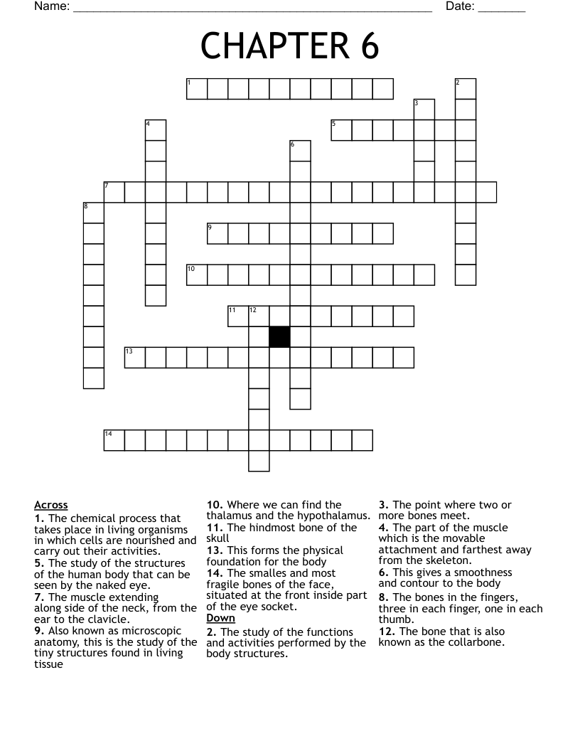 CHAPTER 6 Crossword