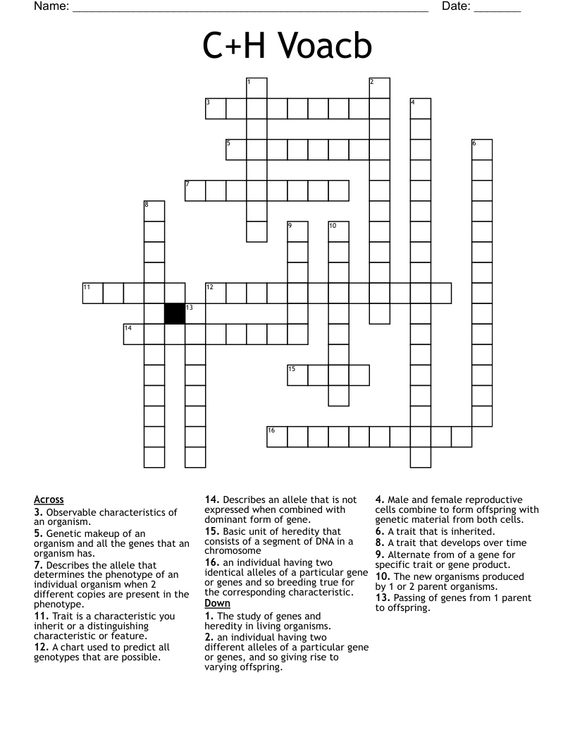 C+H Voacb Crossword