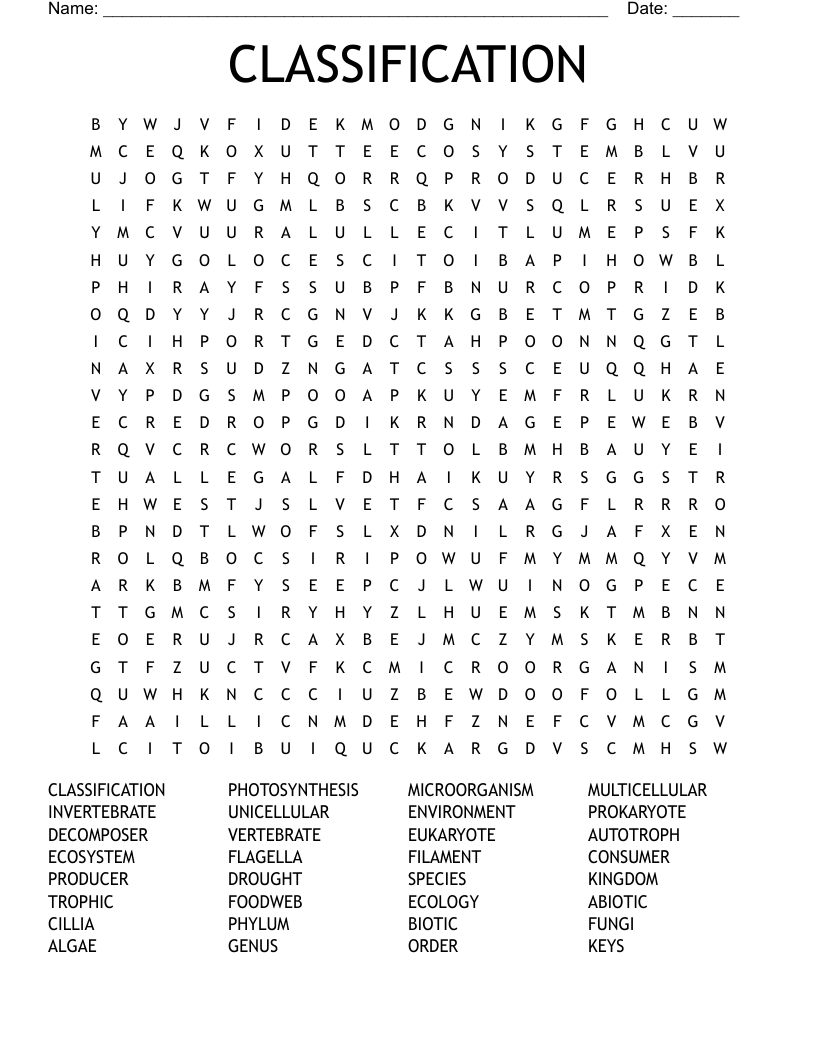 CLASSIFICATION Word Search