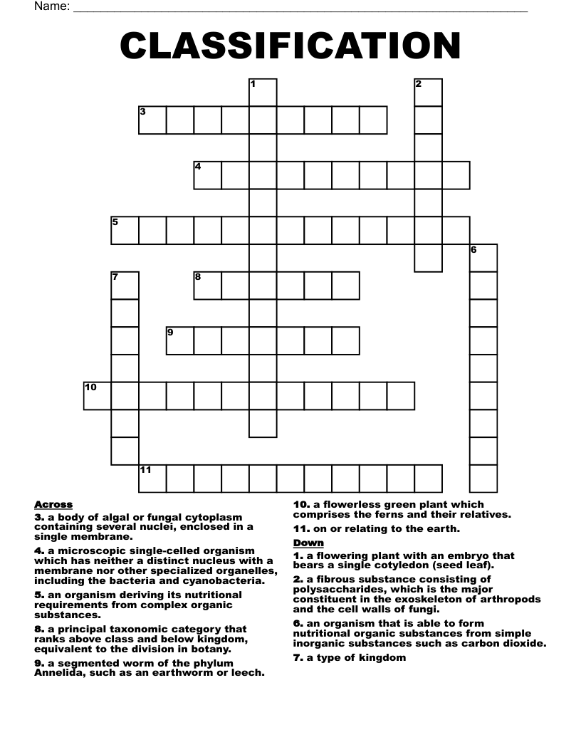 CLASSIFICATION  Crossword