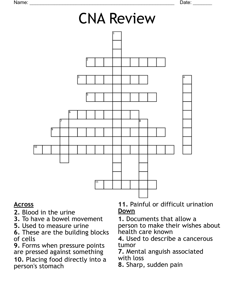 CNA Review  Crossword