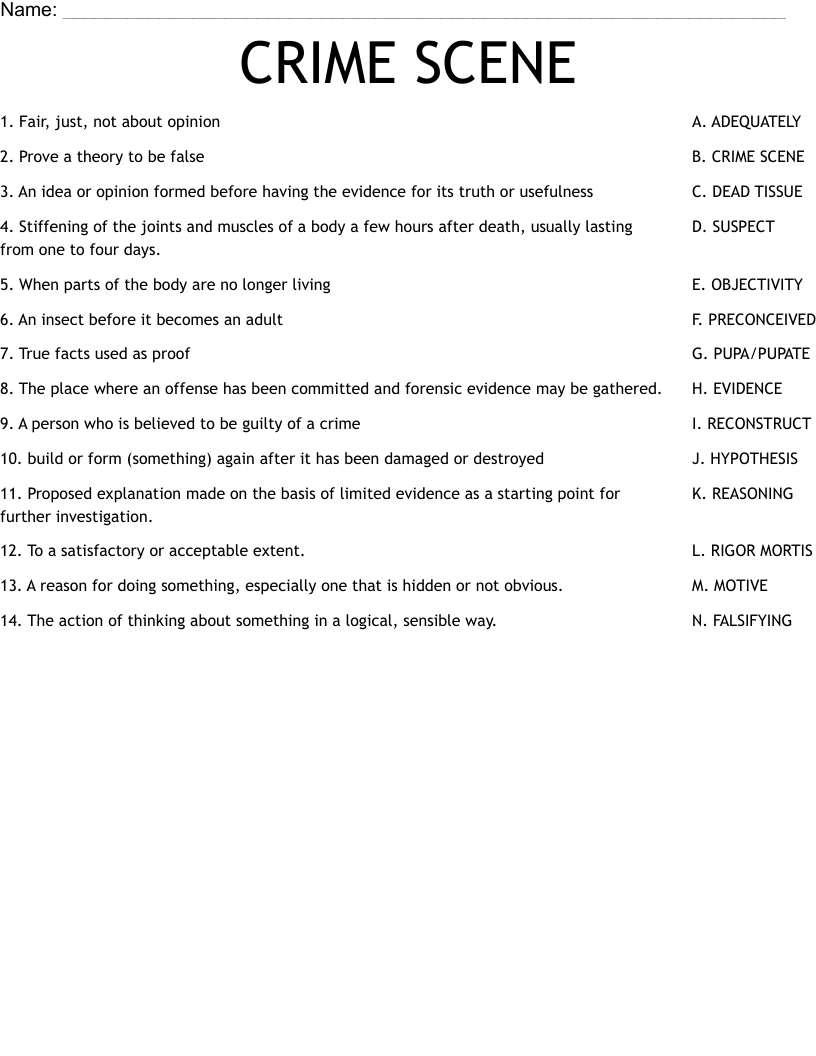CRIME SCENE Worksheet