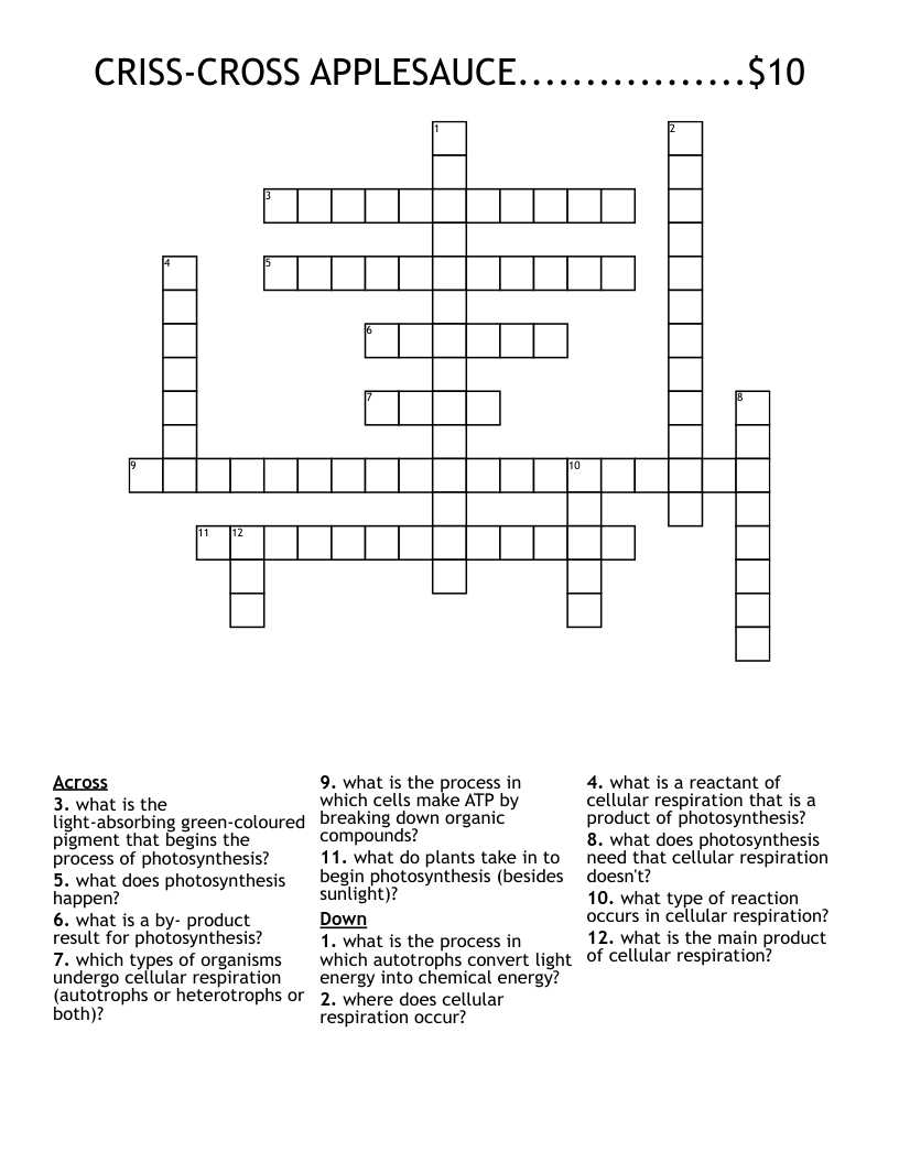 CRISS-CROSS APPLESAUCE.................$10 Crossword