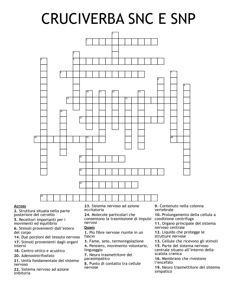 CRUCIVERBA SNC E SNP  Crossword