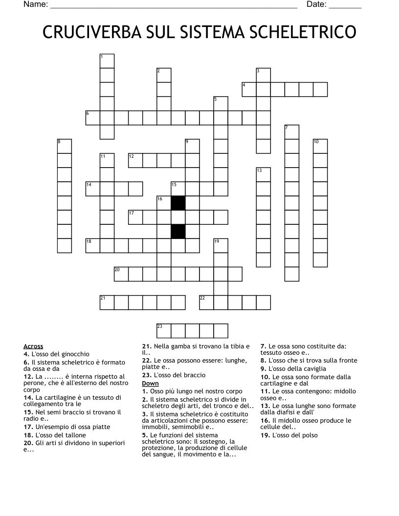 CRUCIVERBA SUL SISTEMA SCHELETRICO Crossword