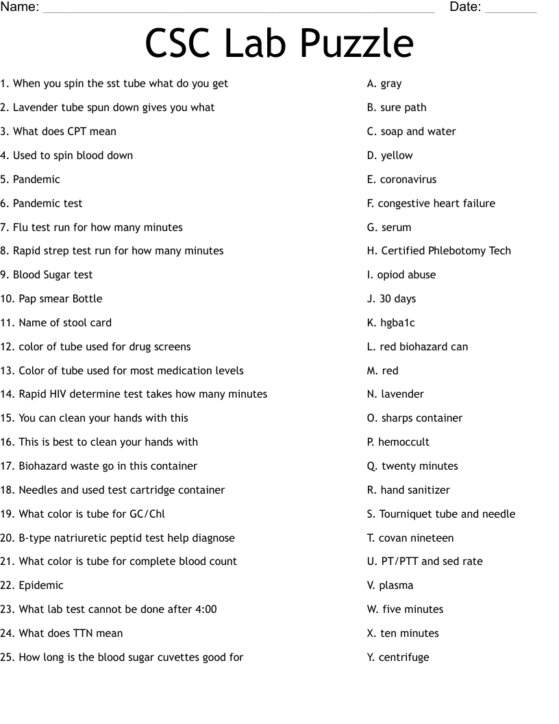 CSC Lab Puzzle Worksheet