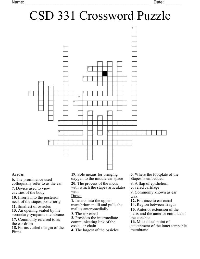 CSD 331 Crossword Puzzle 
