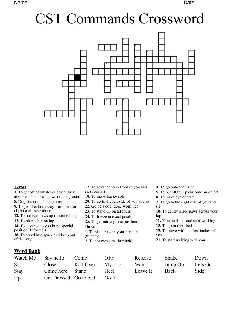 CST Commands Crossword
