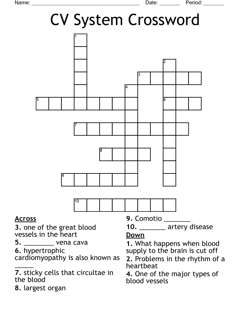 CV System Crossword