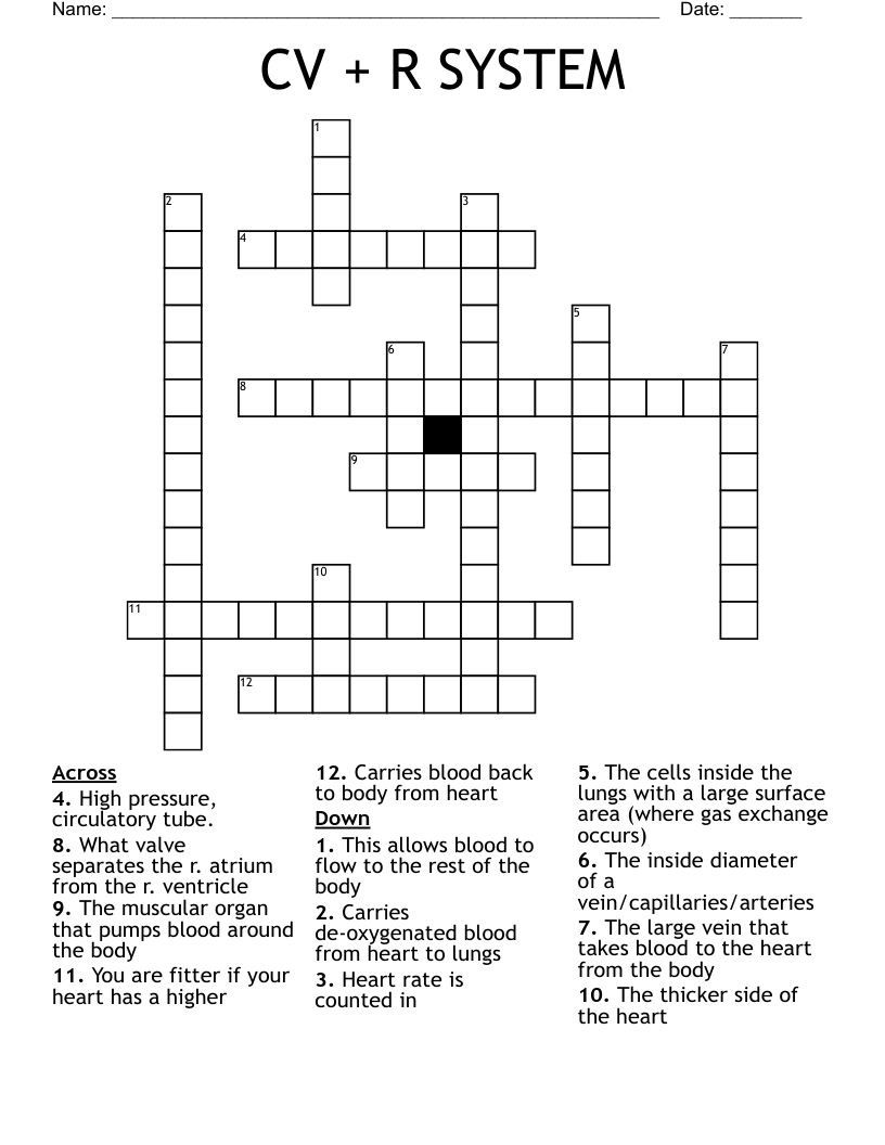 CV + R SYSTEM Crossword