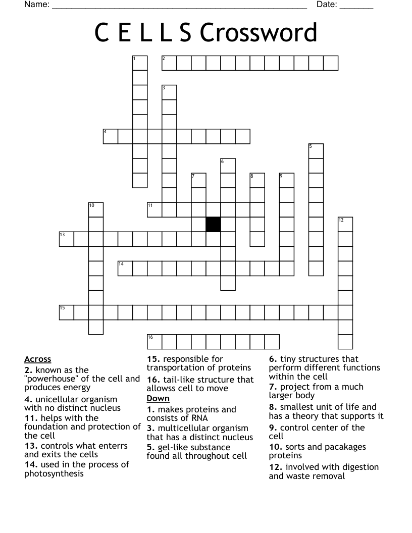 C E L L S Crossword
