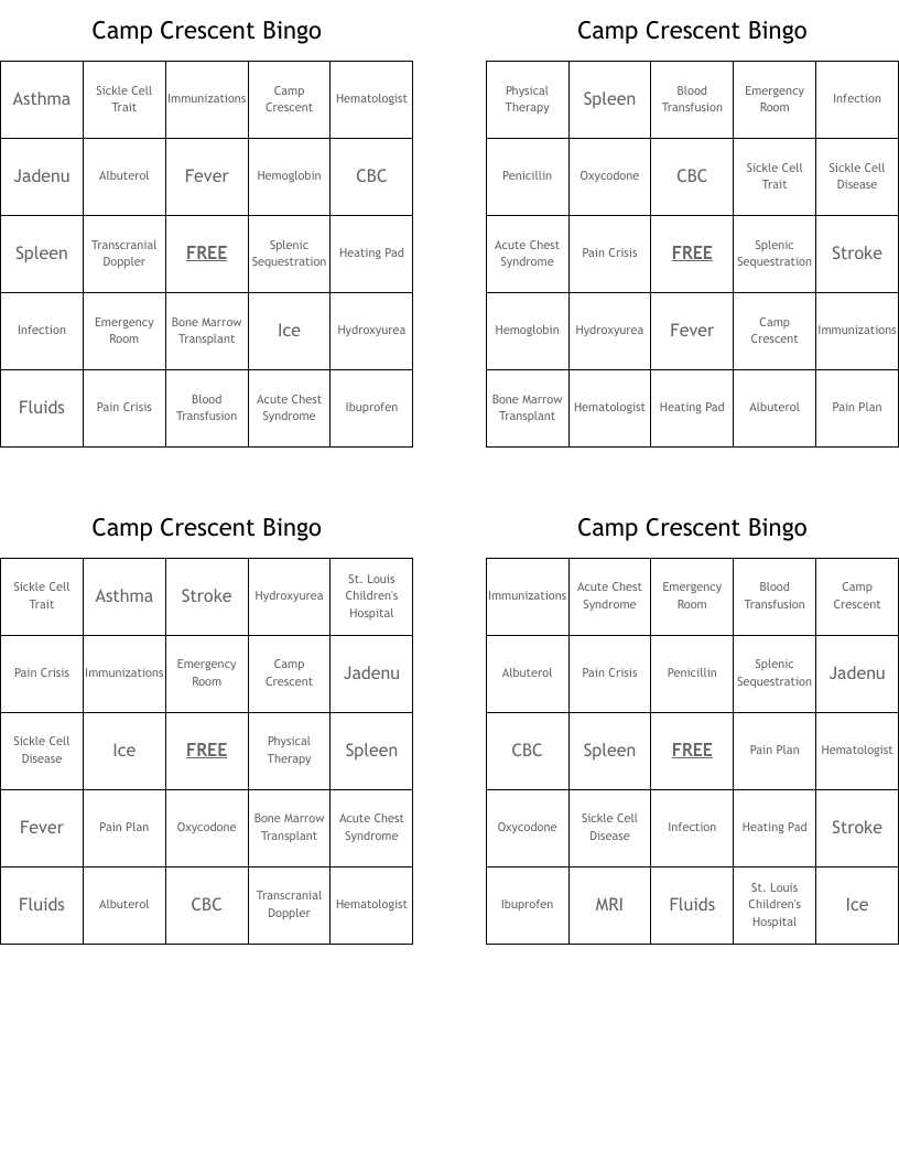 Camp Crescent Bingo