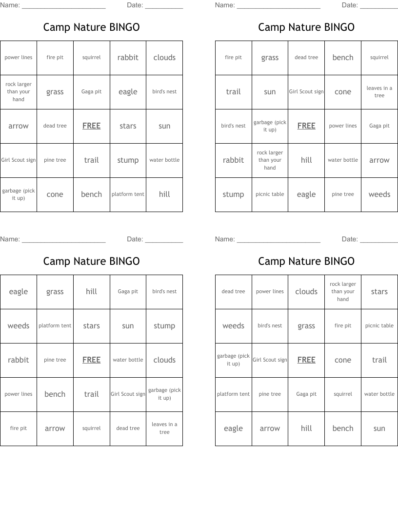 Camp Nature BINGO