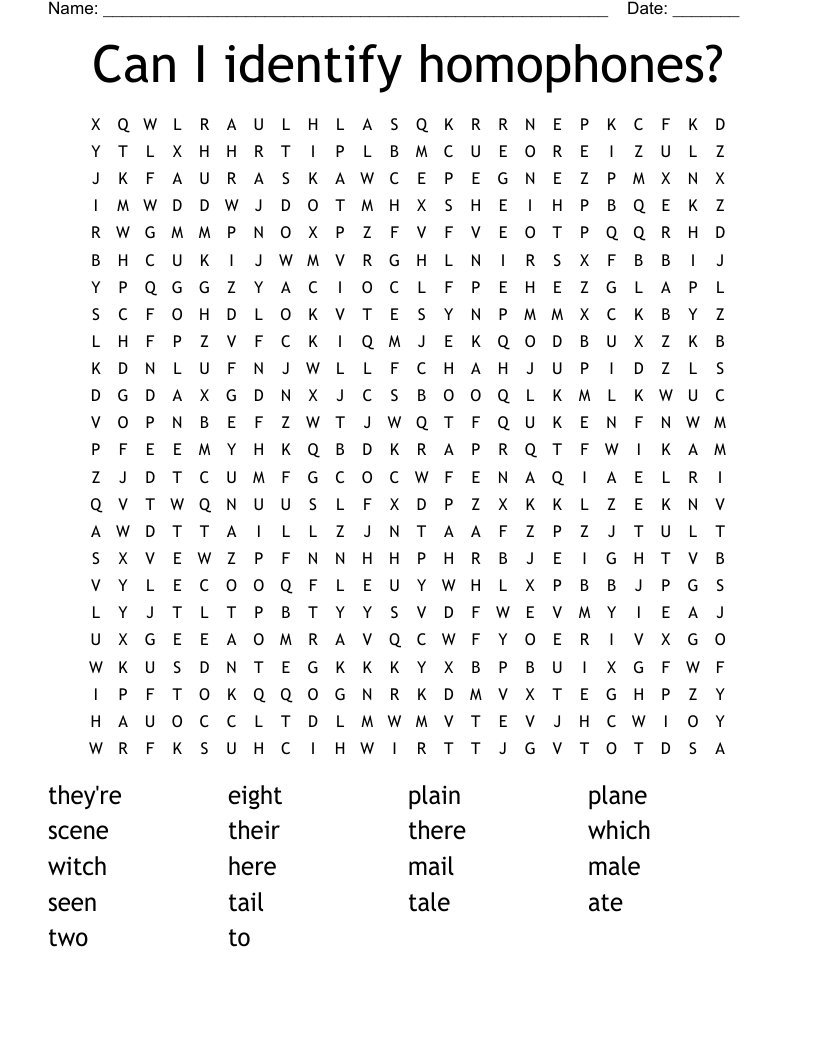 Can I identify homophones? Word Search