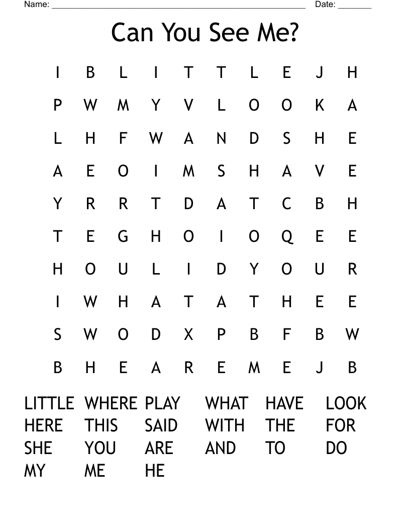Can You See Me? Word Search
