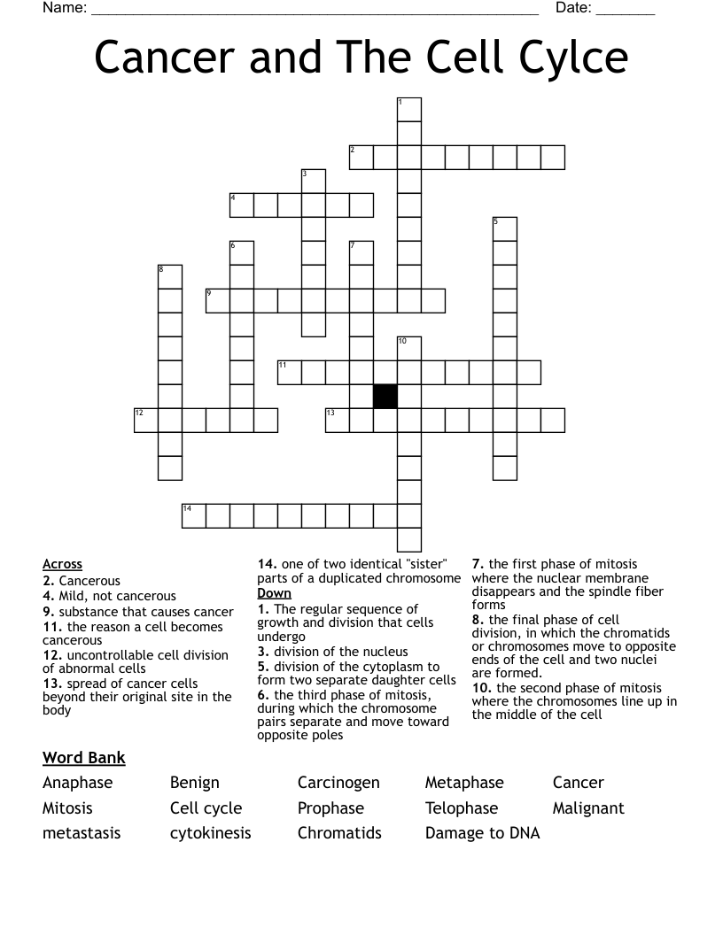 Cancer and The Cell Cylce Crossword