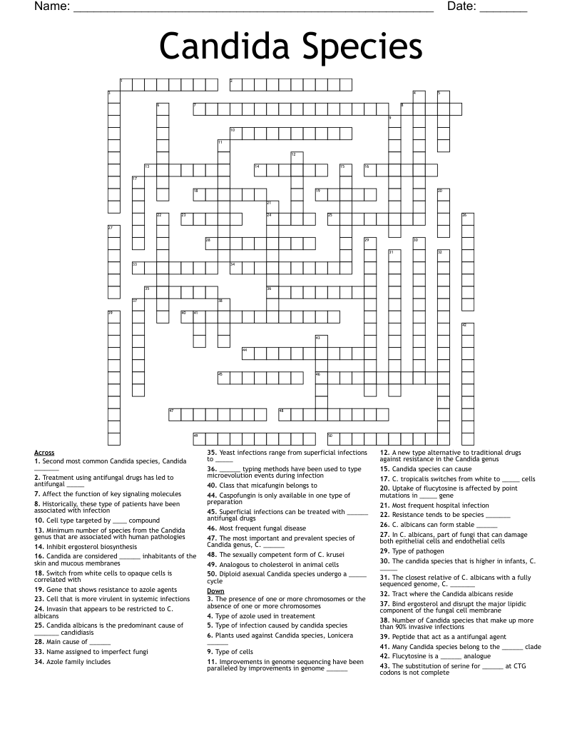 Candida Species Crossword