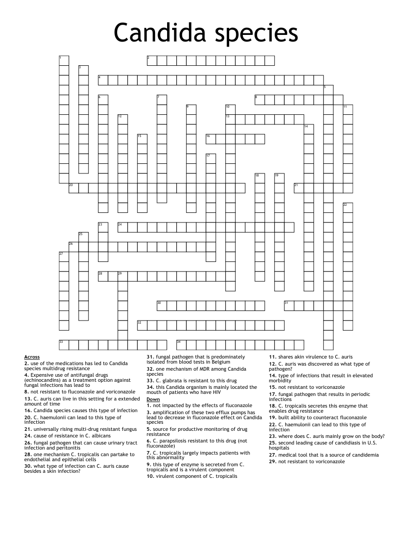 Candida species Crossword