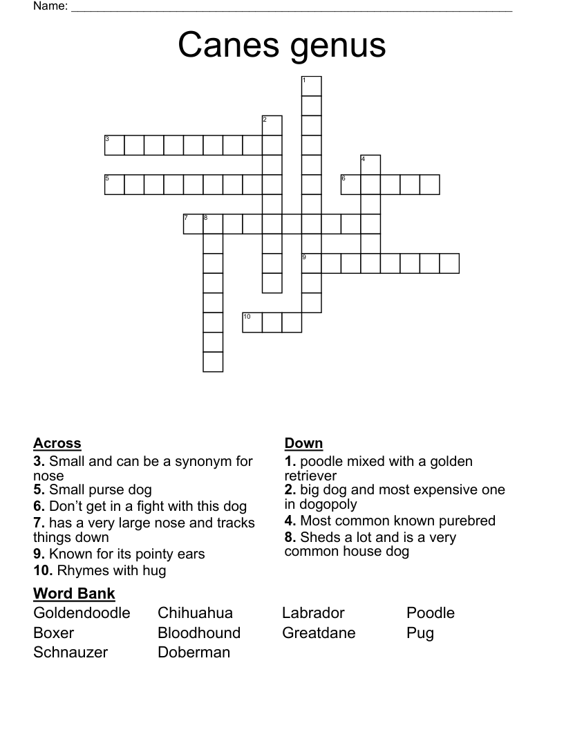 Canes genus Crossword