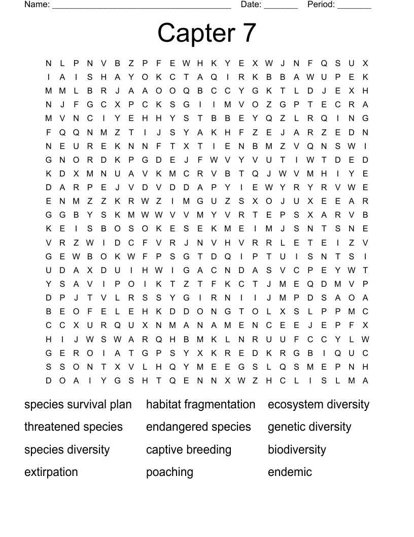 Capter 7 Word Search