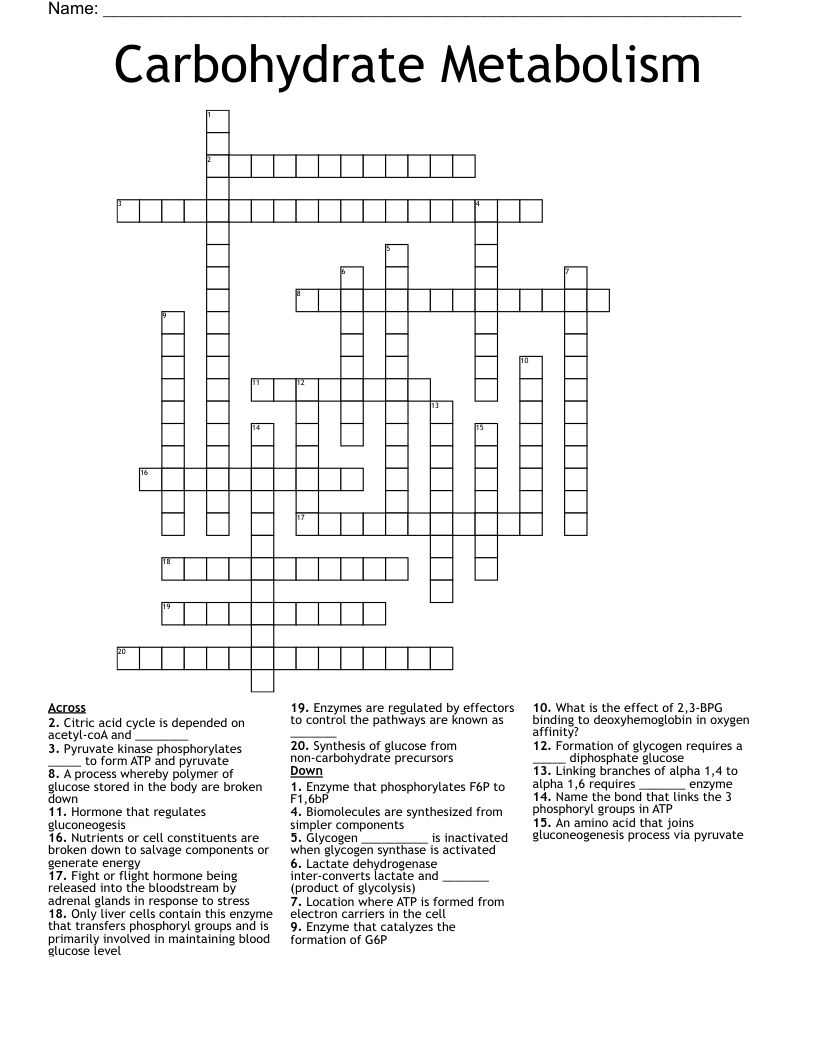 Carbohydrate Metabolism Crossword