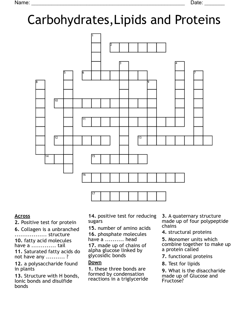 Carbohydrates,Lipids and Proteins  Crossword