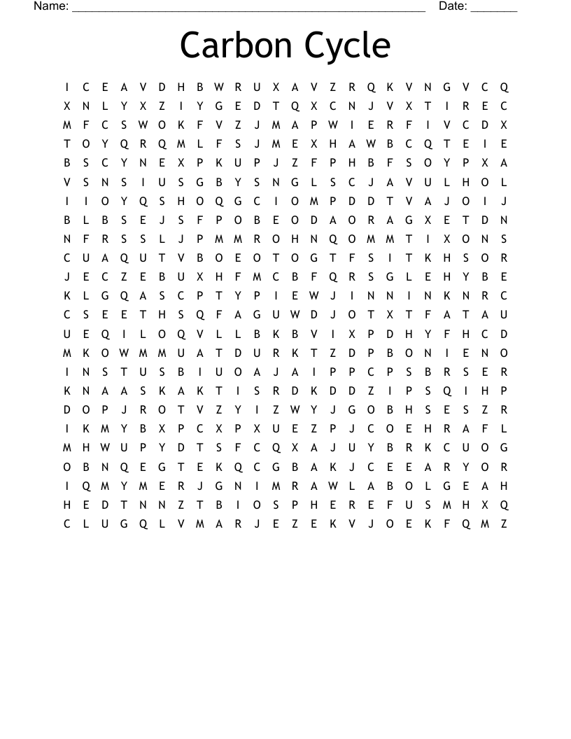 Carbon Cycle Word Search