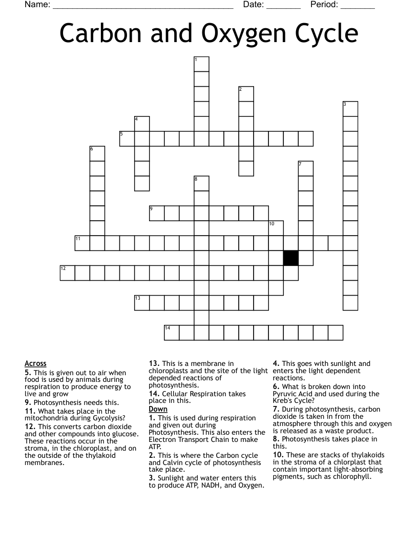 Carbon and Oxygen Cycle Crossword