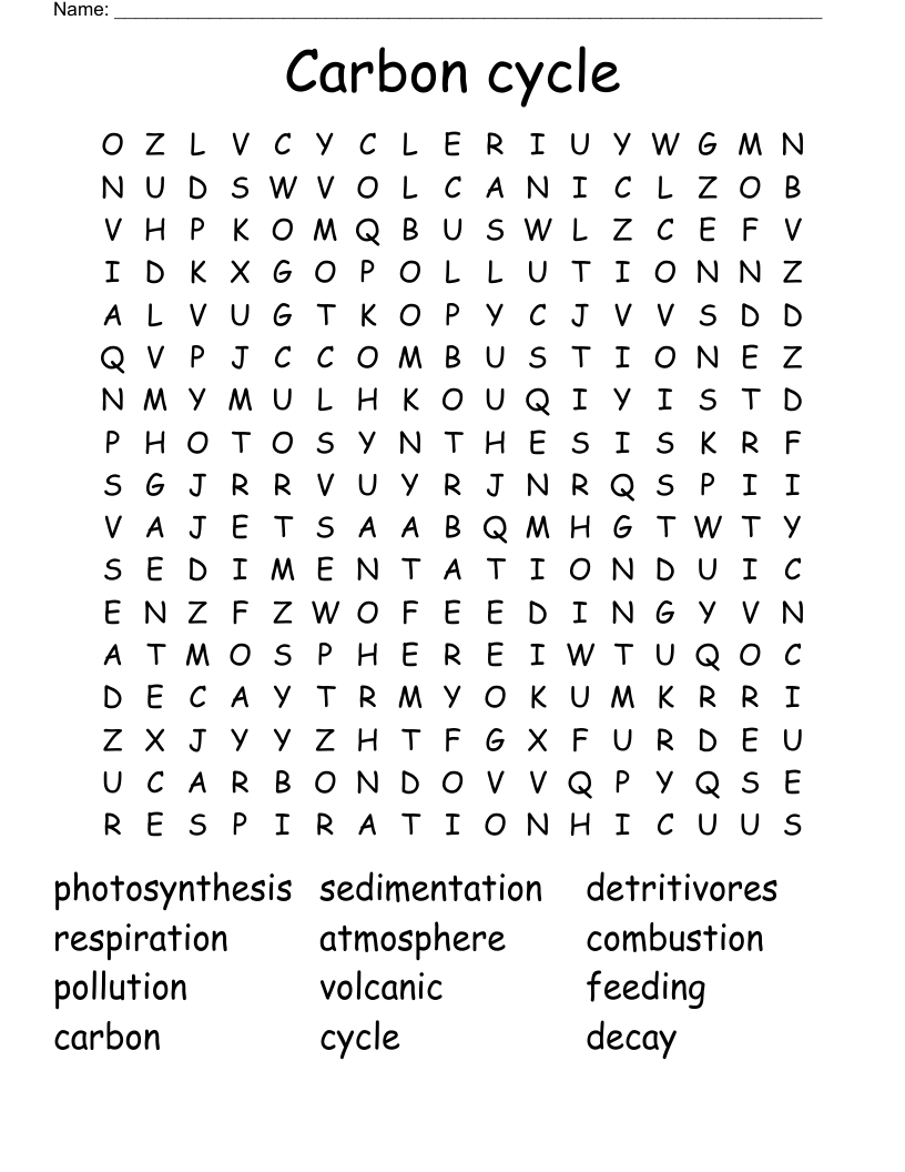 Carbon cycle Word Search