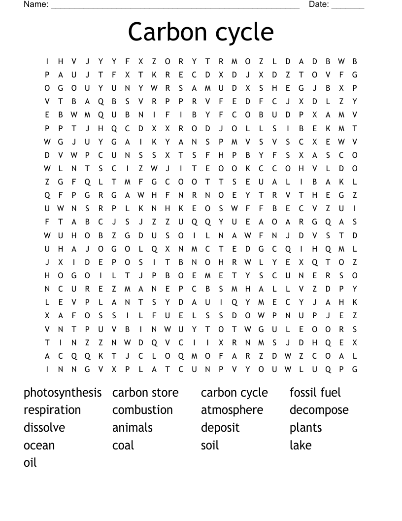 Carbon cycle Word Search