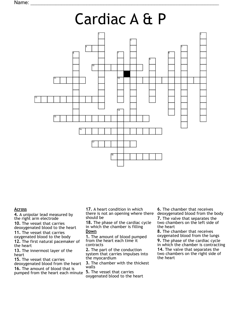 Cardiac A & P Crossword