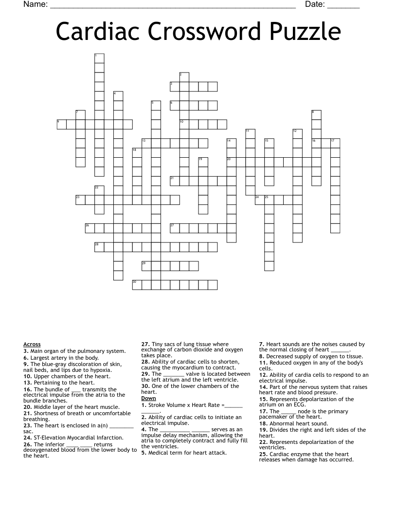 Cardiac Crossword Puzzle