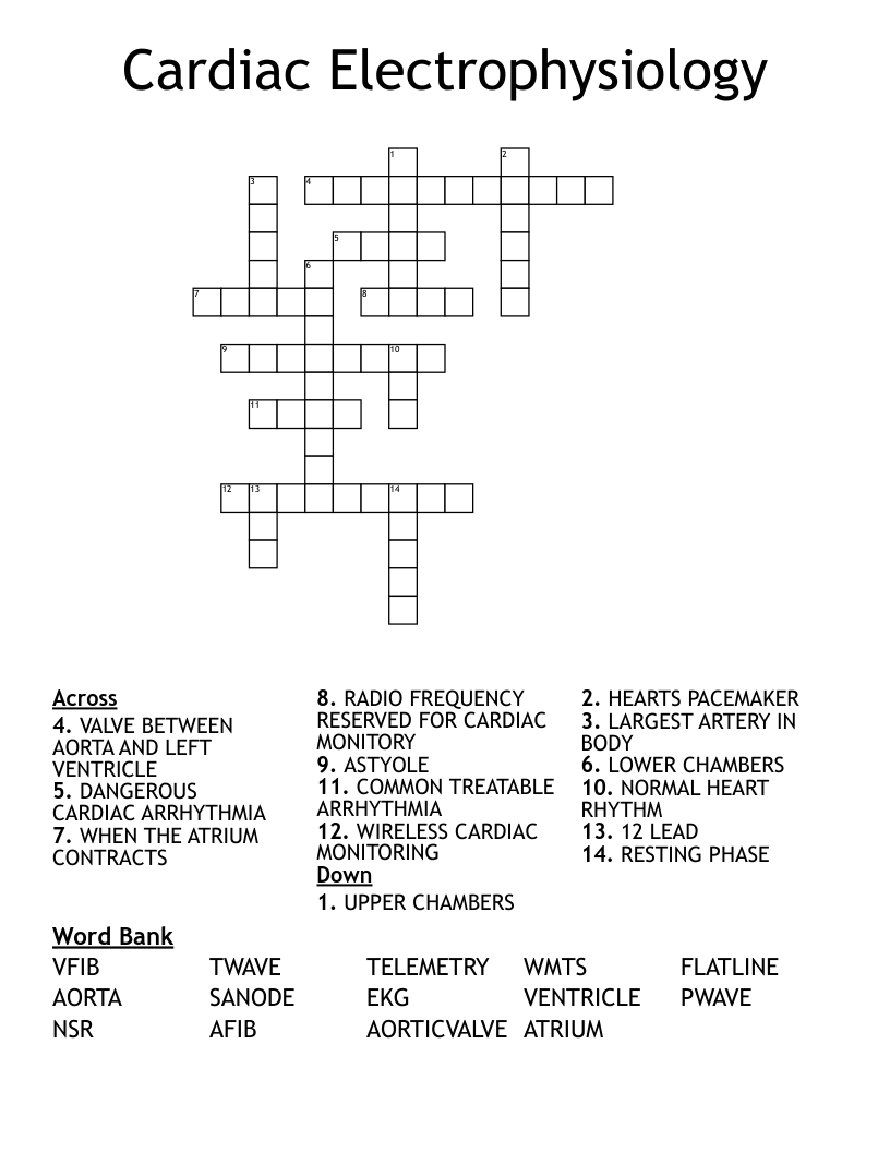 Cardiac Electrophysiology Crossword