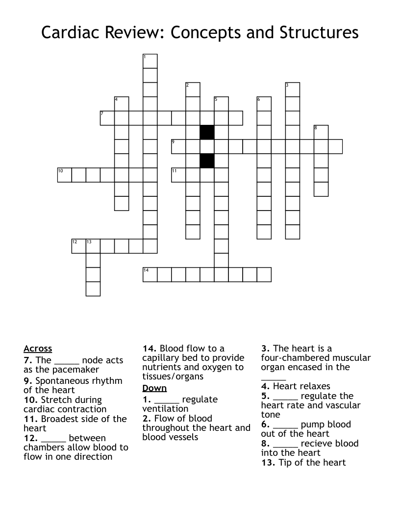 Cardiac Review: Concepts and Structures Crossword