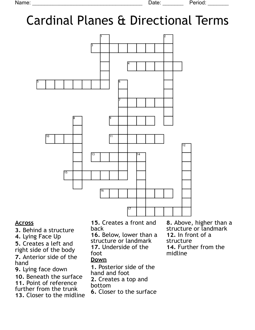 Cardinal Planes & Directional Terms Crossword