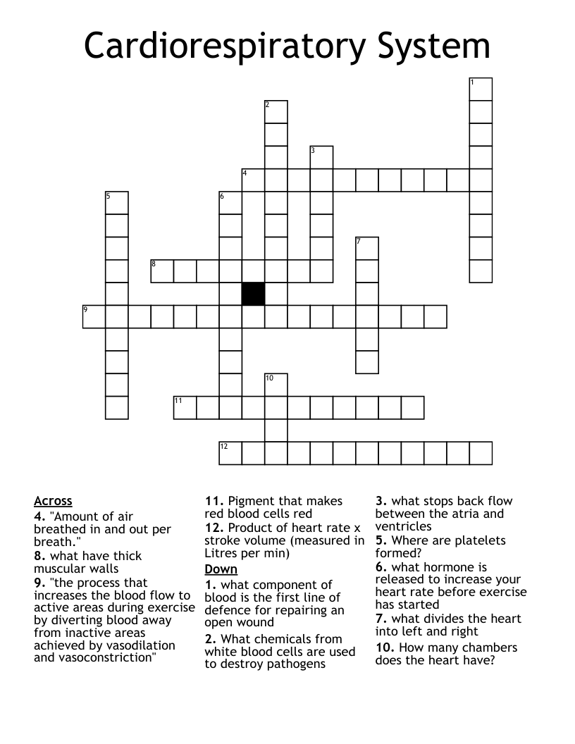 Cardiorespiratory System Crossword