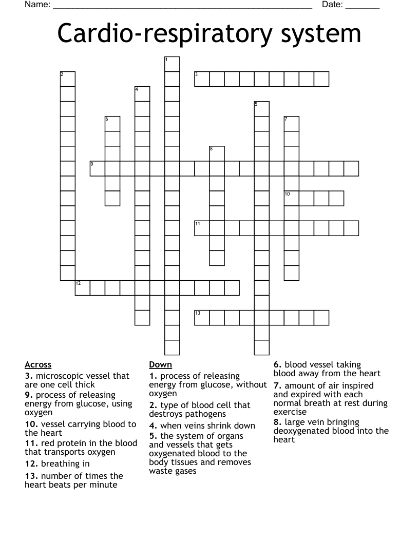 Cardio-respiratory system Crossword