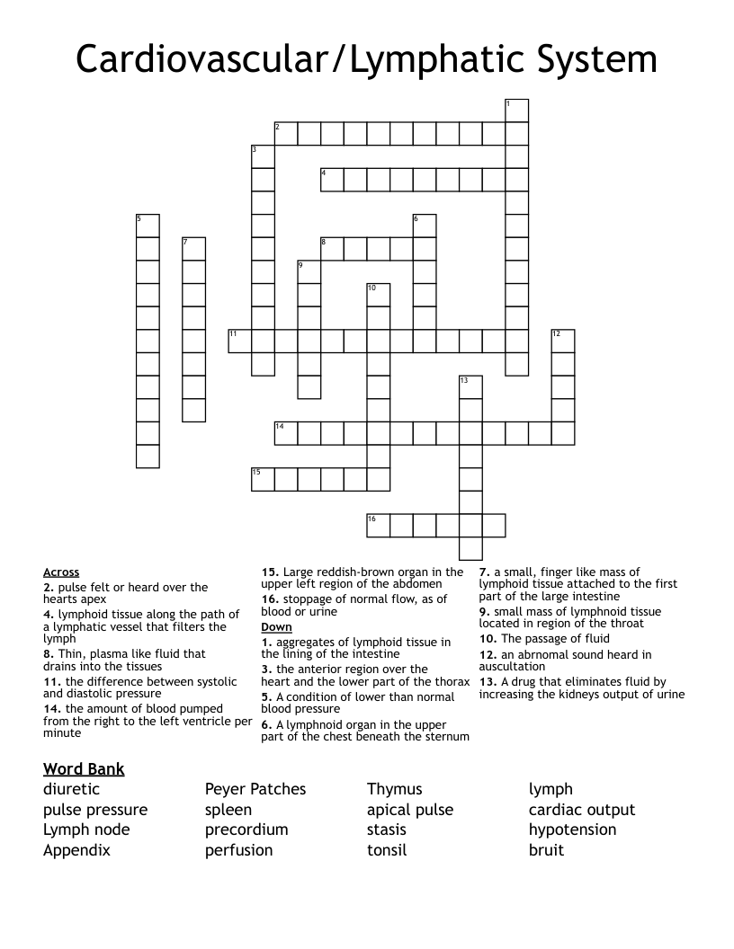 Cardiovascular/Lymphatic System Crossword