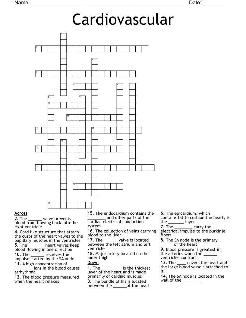 Cardiovascular Crossword
