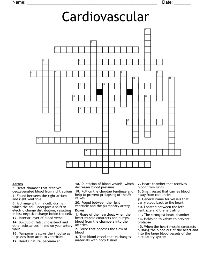 Cardiovascular Crossword
