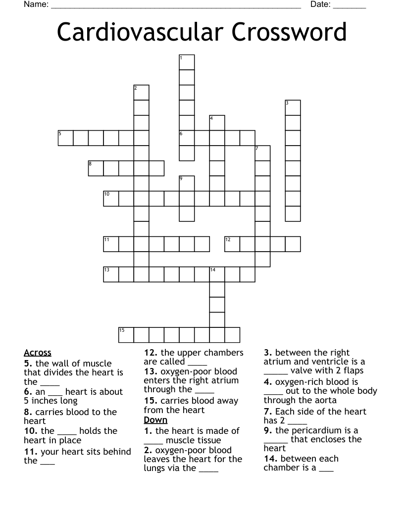 Cardiovascular Crossword