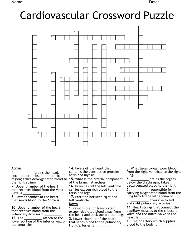 Cardiovascular Crossword Puzzle