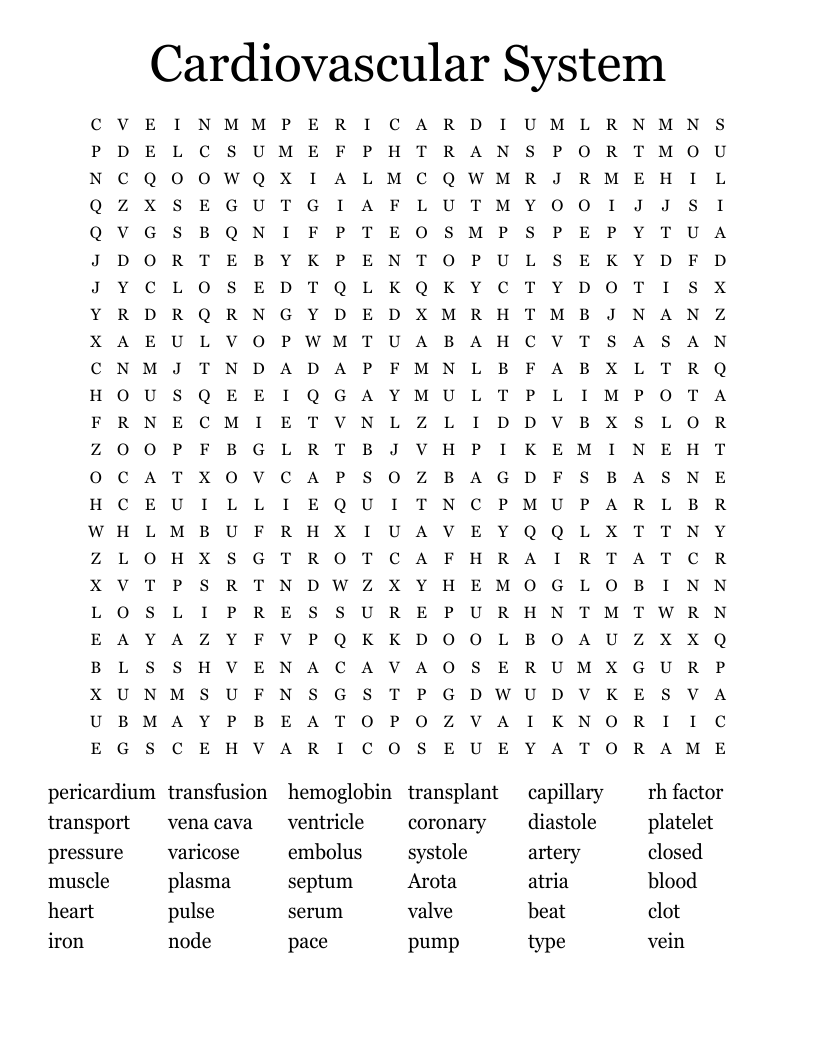 Cardiovascular System Word Search