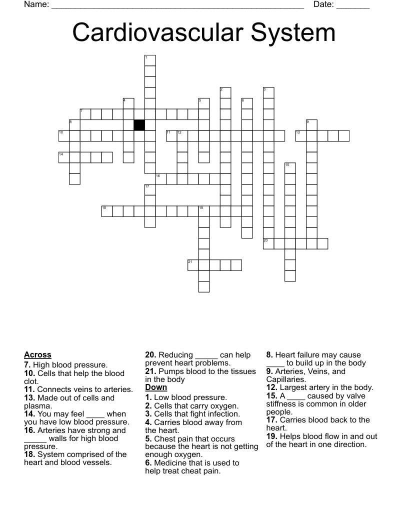 Cardiovascular System Crossword